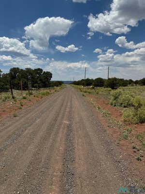 1 SEEWALD, THOREAU, NM 87323, photo 2 of 11