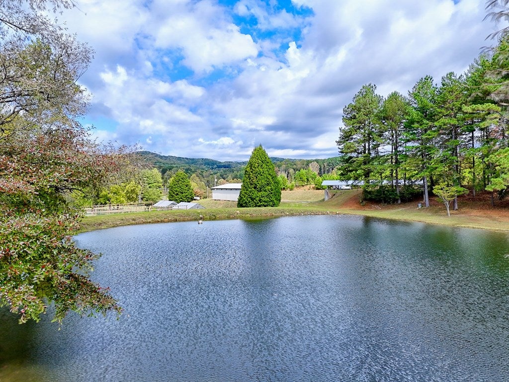 Warne, North Carolina, 28909, United States, 5 Bedrooms Bedrooms, ,6 BathroomsBathrooms,Residential,Active,1968121
