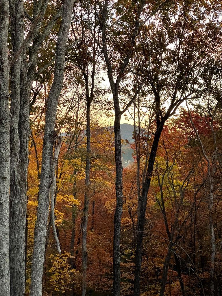 Morganton, Georgia, 30560, United States, 4 Bedrooms Bedrooms, ,4 BathroomsBathrooms,Residential,Active,1844261