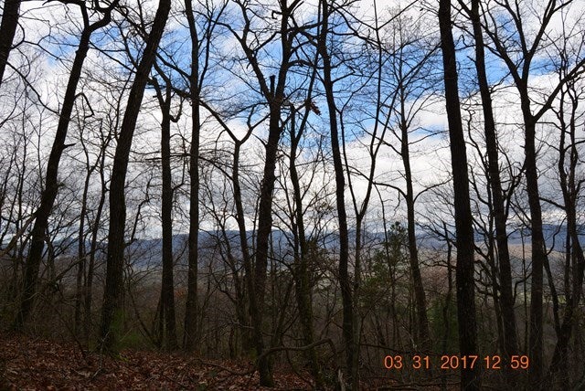 Murphy, North Carolina, 28906, United States, 1 Bedroom Bedrooms, ,1 BathroomBathrooms,Residential,Active,1780447