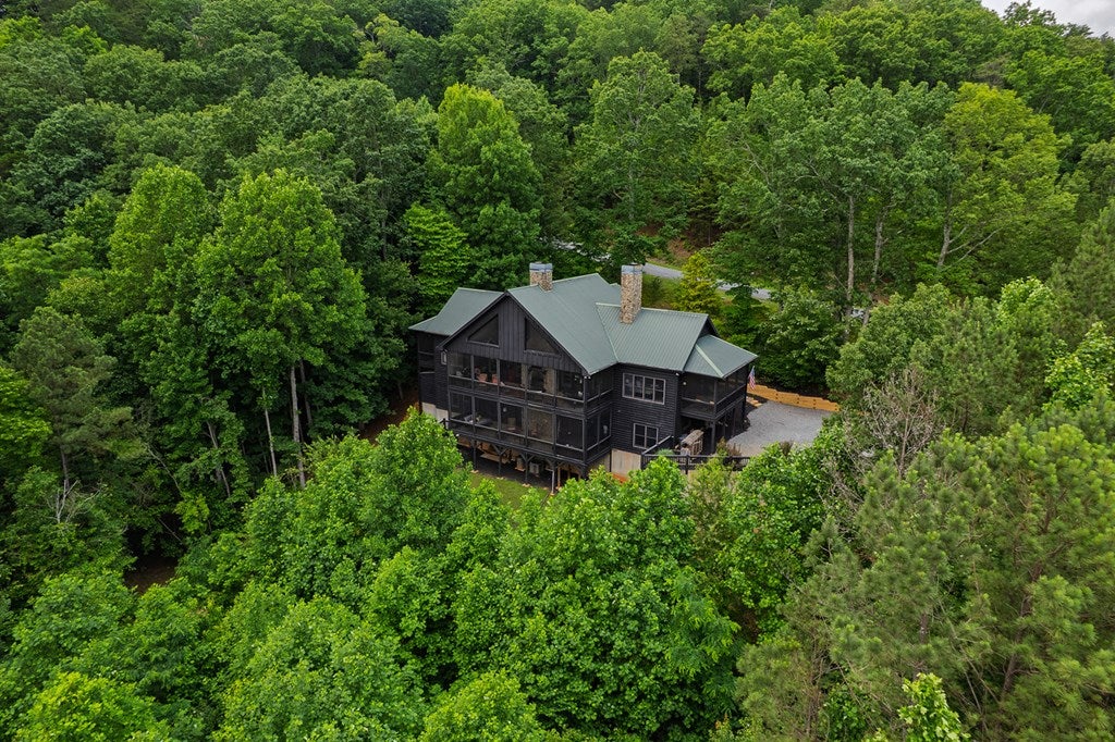 Ellijay, Georgia, 30536, United States, 6 Bedrooms Bedrooms, ,5 BathroomsBathrooms,Residential,Active,1929800
