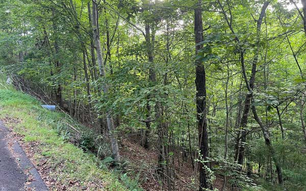 LT 13 THE PRESERVE AT BEACH MOUNTAIN, BRASSTOWN, NC 28902, photo 3 of 18