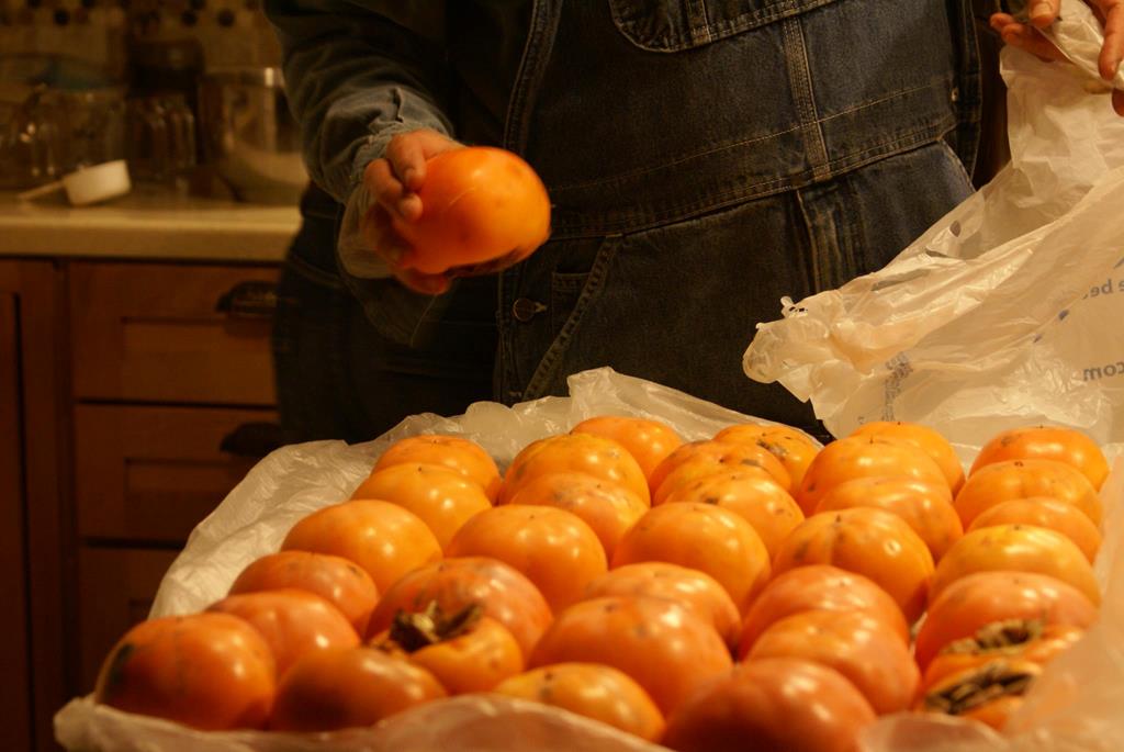 Cherry Log, Georgia, 30522, United States, 4 Bedrooms Bedrooms, ,5 BathroomsBathrooms,Residential,Active,1959948