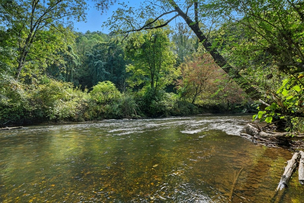Ellijay, Georgia, 30540, United States, 4 Bedrooms Bedrooms, ,4 BathroomsBathrooms,Residential,Active,1954327