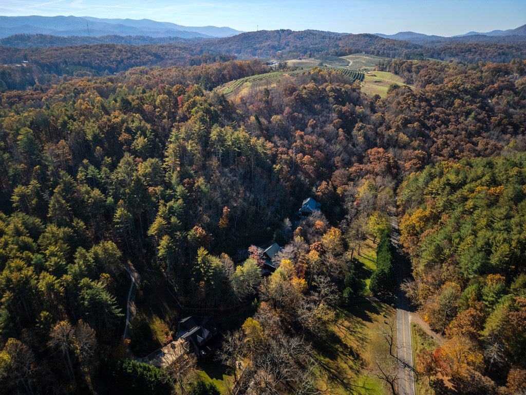 Blue Ridge, Georgia, 30513, United States, 4 Bedrooms Bedrooms, ,4 BathroomsBathrooms,Residential,Active,1990018