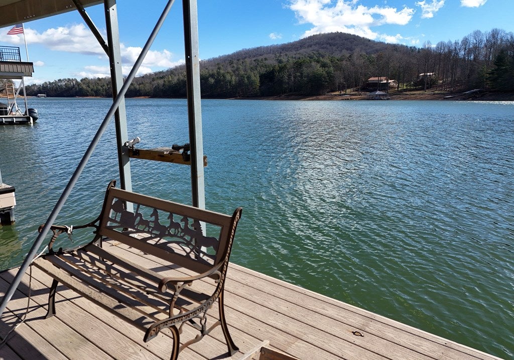 Blairsville, Georgia, 30512, United States, 3 Bedrooms Bedrooms, ,3 BathroomsBathrooms,Residential,Active,2009171