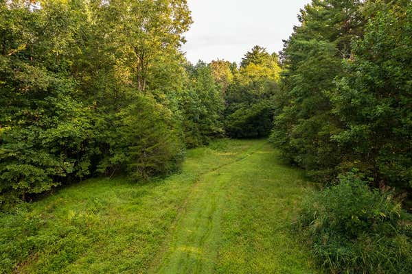 0 JANUARY LANE, ELLIJAY, GA 30540, photo 2 of 16