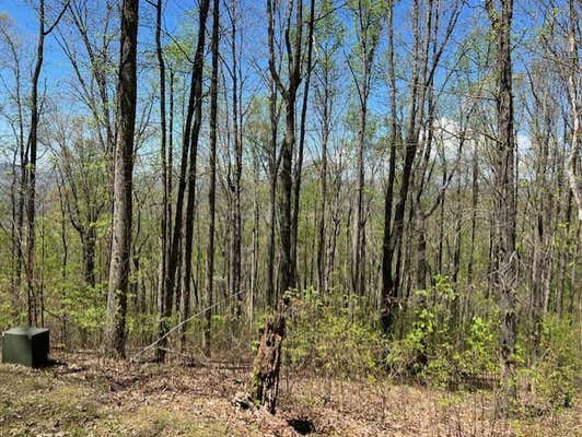 LOT 86 ROCKY KNOB ESTATE, YOUNG HARRIS, GA 30582, photo 4 of 12