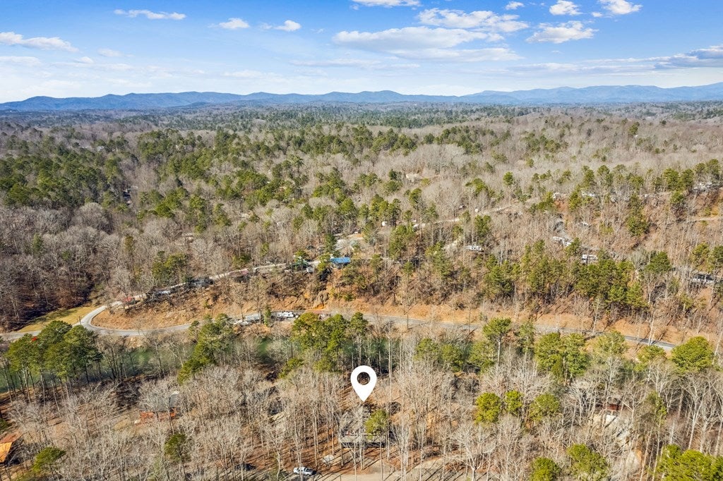Ellijay, Georgia, 30540, United States, 4 Bedrooms Bedrooms, ,4 BathroomsBathrooms,Residential,Active,1711794