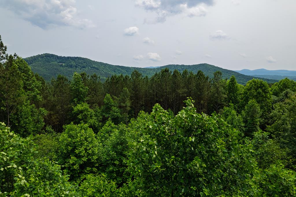 Ellijay, Georgia, 30536, United States, 6 Bedrooms Bedrooms, ,5 BathroomsBathrooms,Residential,Active,1929800