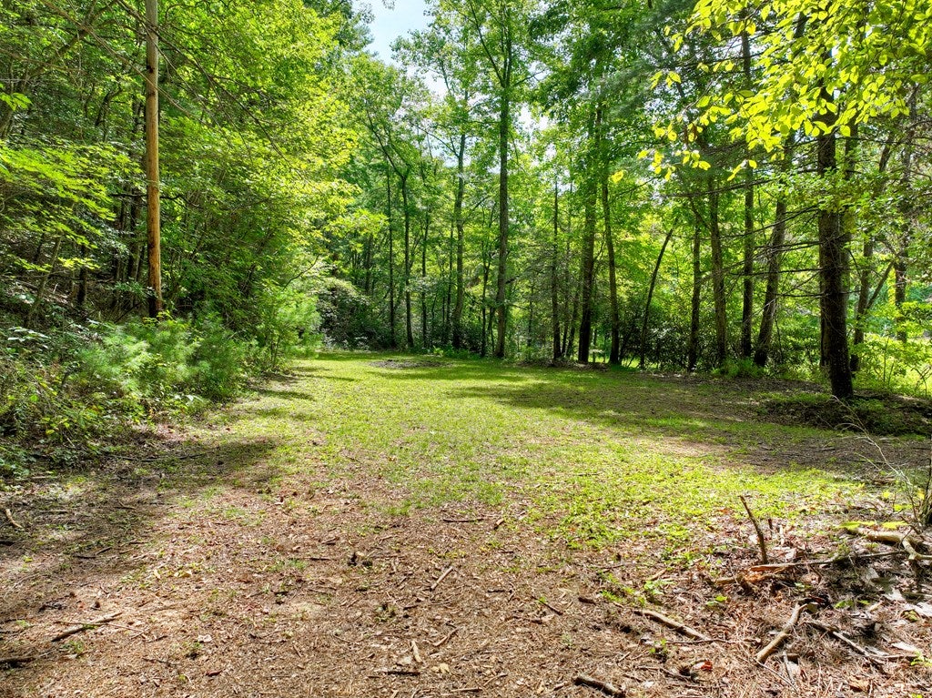 Ellijay, Georgia, 30536, United States, 2 Bedrooms Bedrooms, ,2 BathroomsBathrooms,Residential,Active,1946315