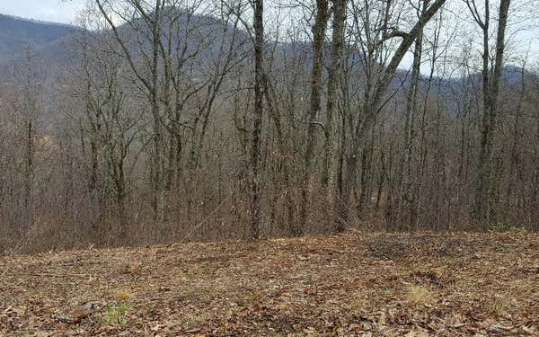 LOT24 CABIN COVE, HAYESVILLE, NC 28904, photo 2 of 10