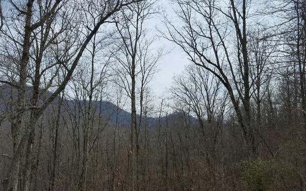 LOT24 CABIN COVE, HAYESVILLE, NC 28904, photo 3 of 10