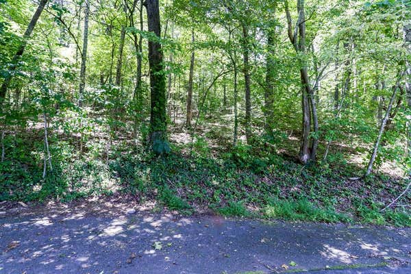 LOT #6 KILPATRICK POINT LANE, HAYESVILLE, NC 28904, photo 3 of 11