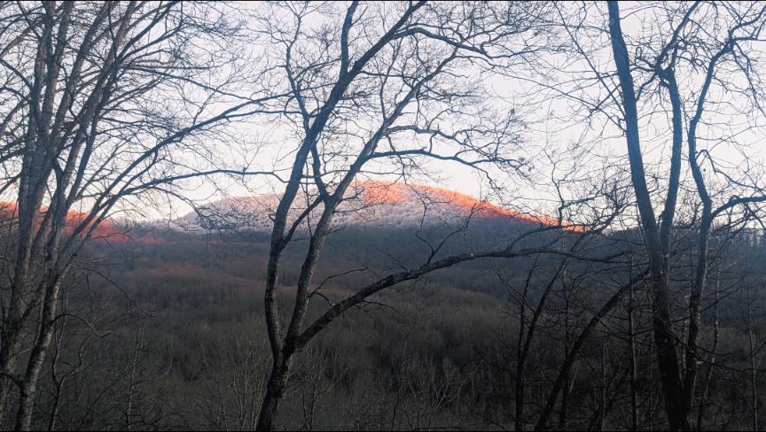 Hiawassee, Georgia, 30546, United States, 3 Bedrooms Bedrooms, ,2 BathroomsBathrooms,Residential,Active,2007353