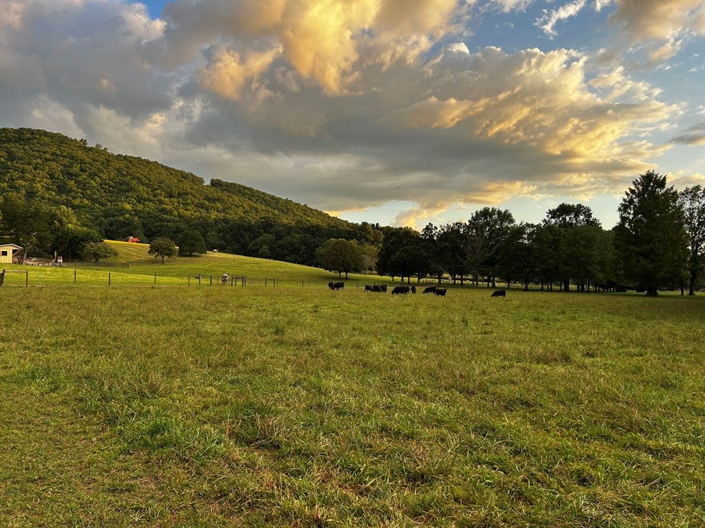 Warne, North Carolina, 28909, United States, 5 Bedrooms Bedrooms, ,6 BathroomsBathrooms,Residential,Active,1968121
