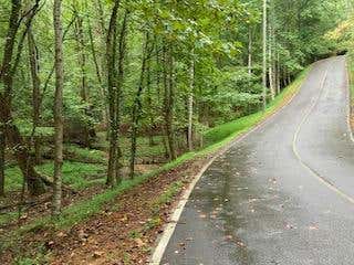 LOT 3485 BAMBY LANE, ELLIJAY, GA 30540, photo 1 of 9