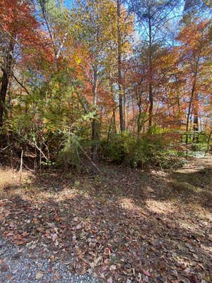 LOT 3 SHARONS VALLEY DRIVE, HAYESVILLE, SC 29804 - Image 1