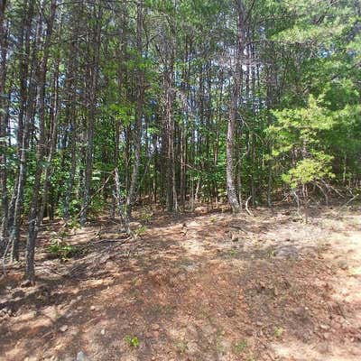 75 AC. NORTH PINEY SPUR, ELLIJAY, GA 30540, photo 3 of 5