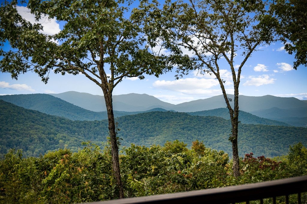 Morganton, Georgia, 30560, United States, 4 Bedrooms Bedrooms, ,5 BathroomsBathrooms,Residential,Active,1952626