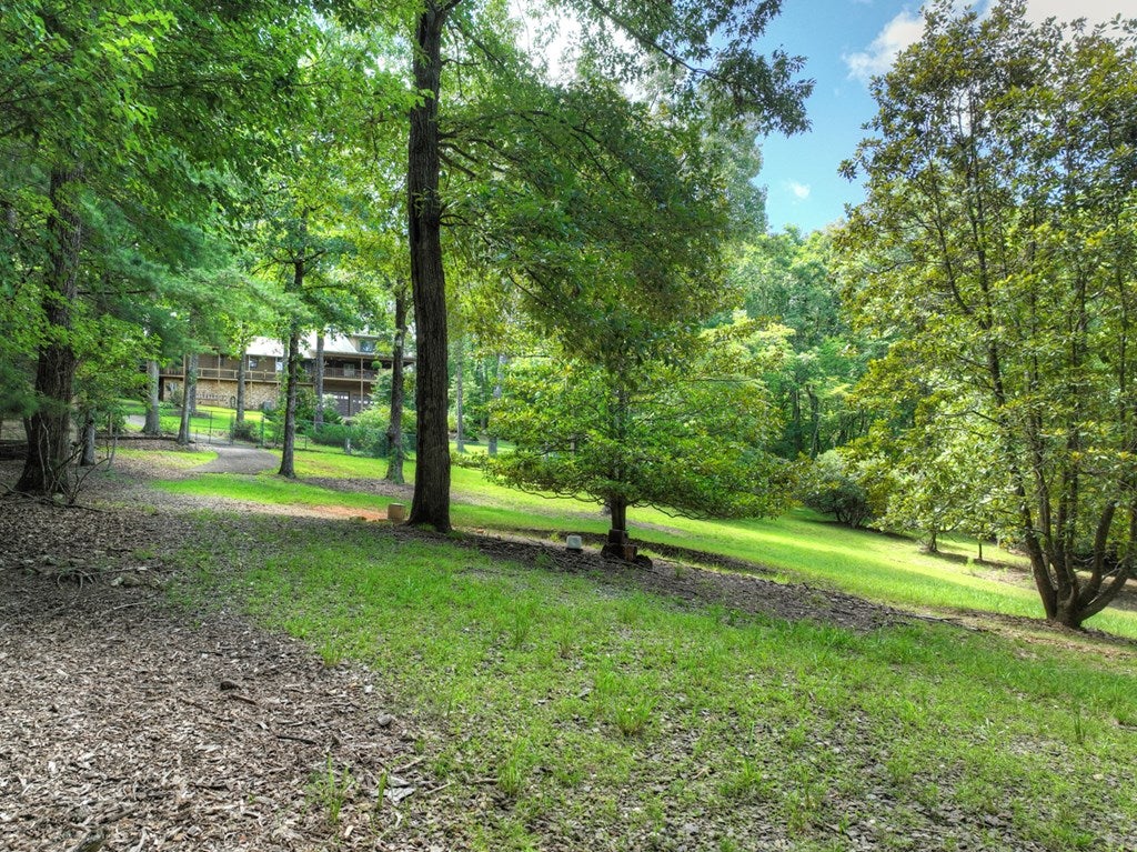 Mineral Bluff, Georgia, 30559, United States, 4 Bedrooms Bedrooms, ,3 BathroomsBathrooms,Residential,Active,1899865