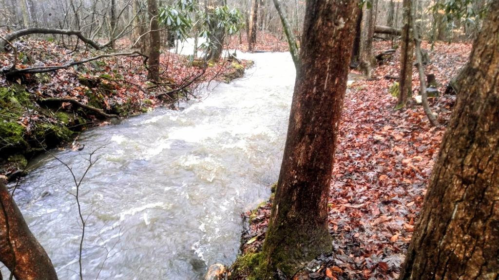 Hiawassee, Georgia, 30546, United States, 3 Bedrooms Bedrooms, ,2 BathroomsBathrooms,Residential,Active,2007353