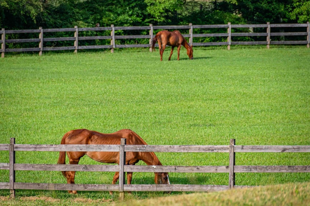 Blue Ridge, Georgia, 30513, United States, 3 Bedrooms Bedrooms, ,4 BathroomsBathrooms,Residential,Active,2008330