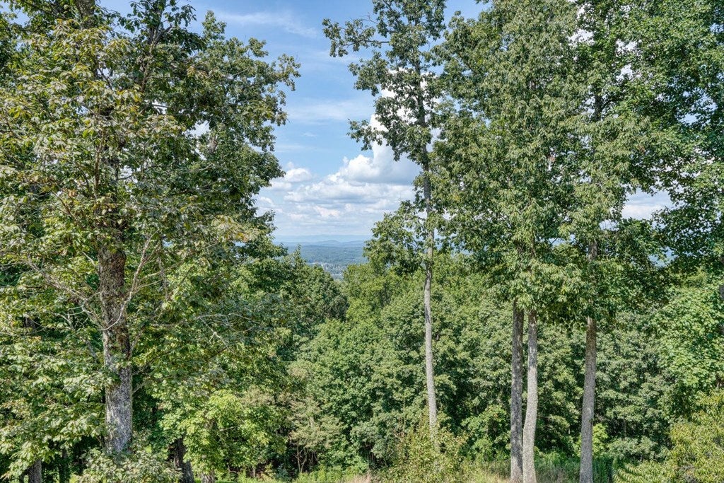 Blairsville, Georgia, 30512, United States, 4 Bedrooms Bedrooms, ,6 BathroomsBathrooms,Residential,Active,1934771