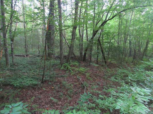 LOT 16 HI RIVER ROAD, HIAWASSEE, GA 30546, photo 4 of 10