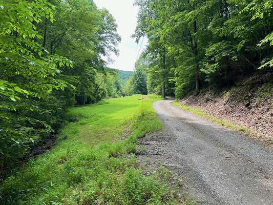 33.4 AC CALDWELL ROAD, BRASSTOWN, NC 28902 - Image 1