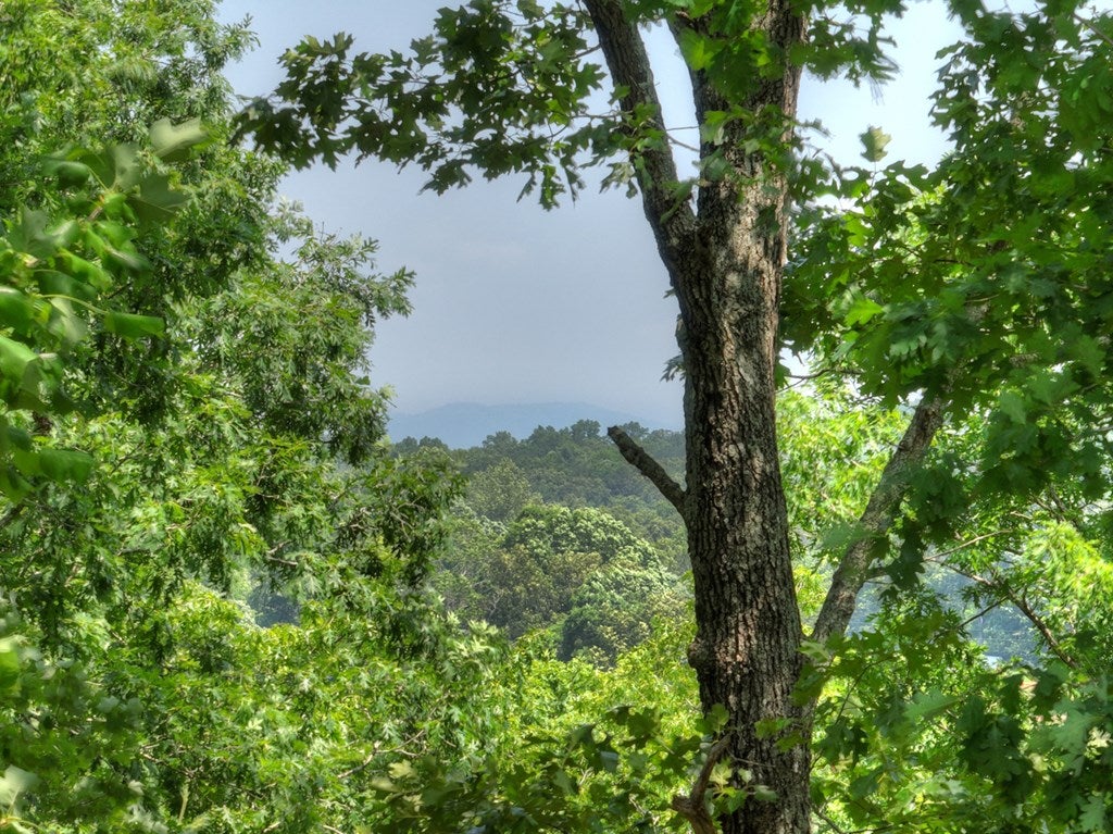 Morganton, Georgia, 30560, United States, 4 Bedrooms Bedrooms, ,4 BathroomsBathrooms,Residential,Active,1844261