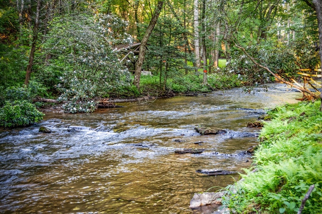 Blue Ridge, Georgia, 30513, United States, 3 Bedrooms Bedrooms, ,5 BathroomsBathrooms,Residential,Active,1973531