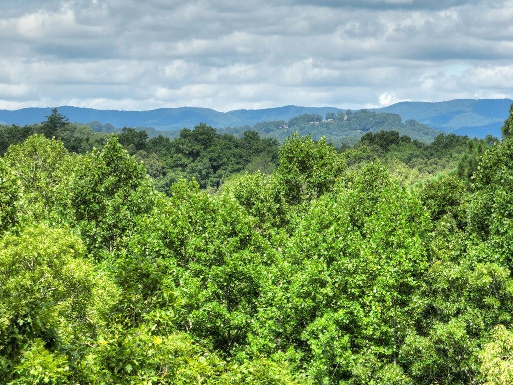 Mineral Bluff, Georgia, 30559, United States, 4 Bedrooms Bedrooms, ,3 BathroomsBathrooms,Residential,Active,1899865