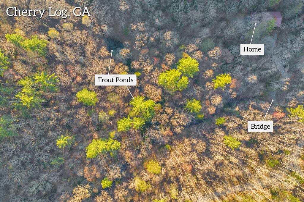 Cherry Log, Georgia, 30522, United States, 4 Bedrooms Bedrooms, ,5 BathroomsBathrooms,Residential,Active,1959948