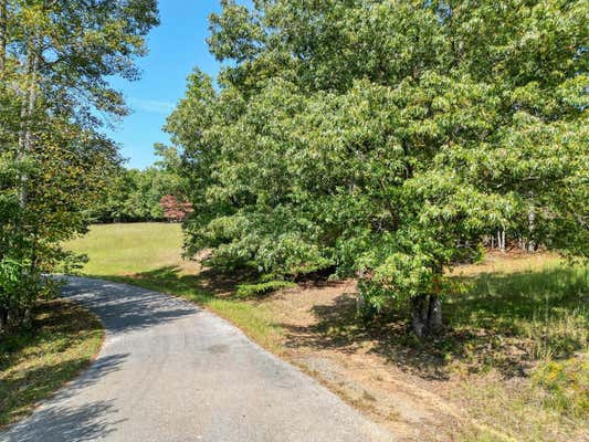 TRACT 1 BARNES CREEK ROAD, BLAIRSVILLE, GA 30512, photo 3 of 21