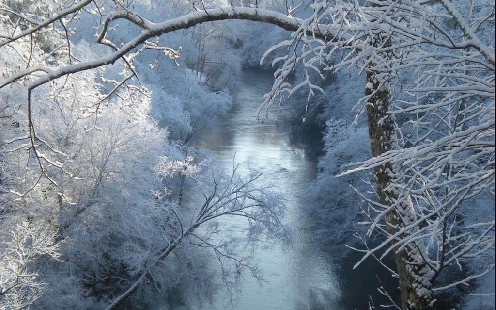 Ellijay, Georgia, 30540, United States, 4 Bedrooms Bedrooms, ,4 BathroomsBathrooms,Residential,Active,1711794