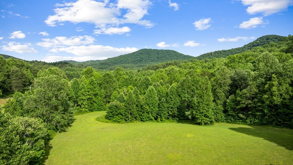 Blue Ridge, Georgia, 30513, United States, 3 Bedrooms Bedrooms, ,4 BathroomsBathrooms,Residential,Active,2008330