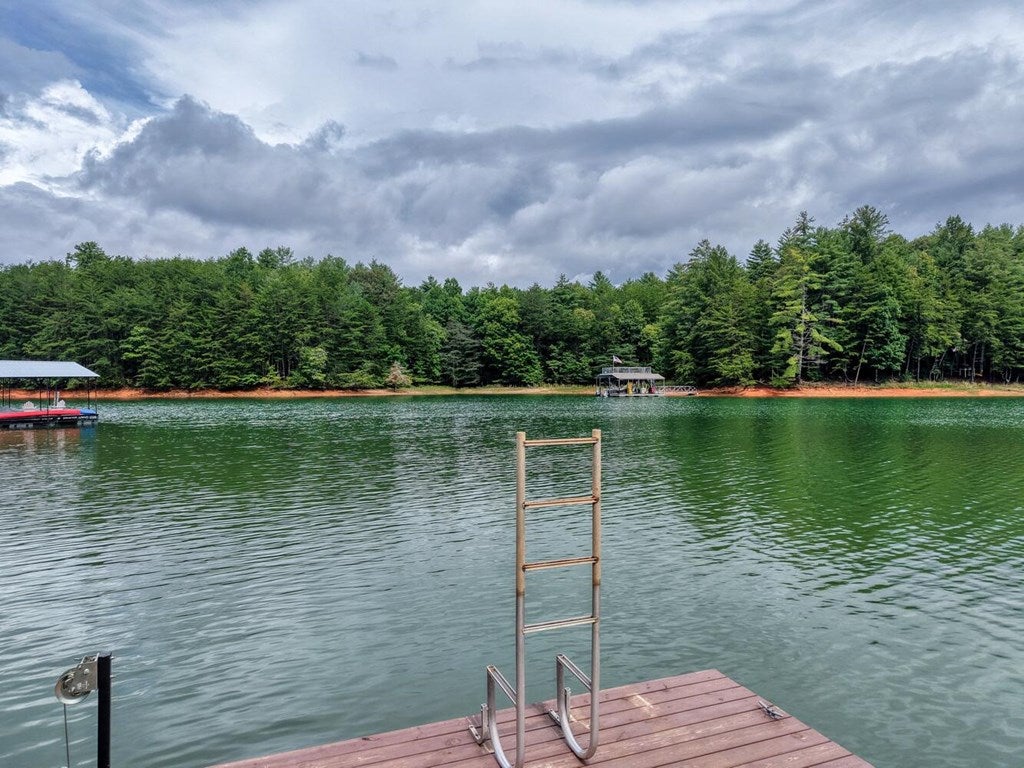 Blairsville, Georgia, 30512, United States, 4 Bedrooms Bedrooms, ,4 BathroomsBathrooms,Residential,Active,1920254