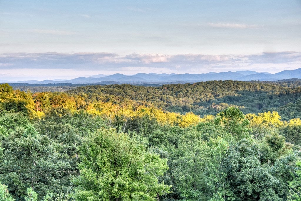 Blue Ridge, Georgia, 30513, United States, 5 Bedrooms Bedrooms, ,5 BathroomsBathrooms,Residential,Active,1945259