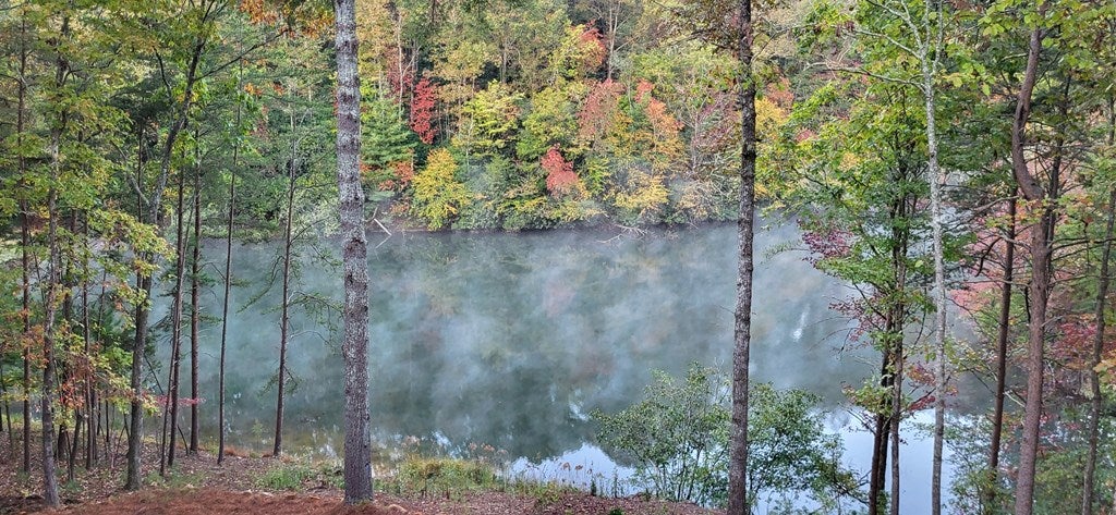 Ellijay, Georgia, 30540, United States, 4 Bedrooms Bedrooms, ,3 BathroomsBathrooms,Residential,Active,1971005