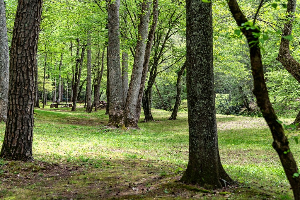 Ellijay, Georgia, 30536, United States, 4 Bedrooms Bedrooms, ,4 BathroomsBathrooms,Residential,Active,1800168