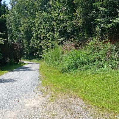 75 AC. NORTH PINEY SPUR, ELLIJAY, GA 30540, photo 2 of 5