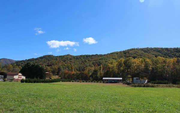 HWY 64 OLD HWY 64E, HAYESVILLE, NC 28904, photo 2 of 26