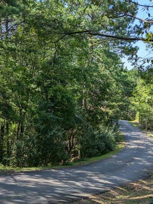 LOT 27 HUMMINGBIRD WAY, COPPERHILL, TN 37317 - Image 1