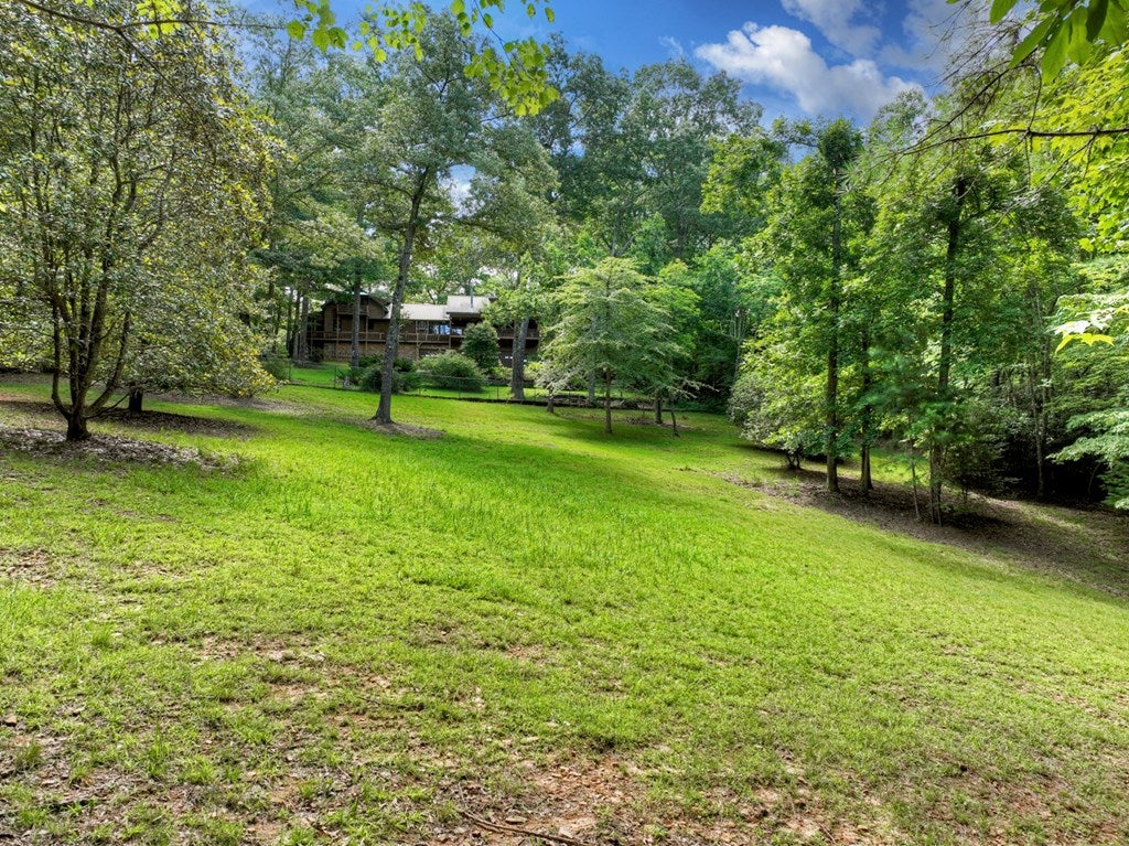Mineral Bluff, Georgia, 30559, United States, 4 Bedrooms Bedrooms, ,3 BathroomsBathrooms,Residential,Active,1899865