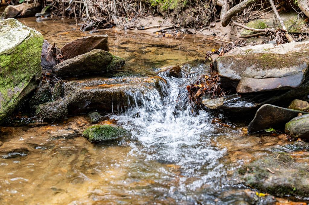 Ellijay, Georgia, 30536, United States, 3 Bedrooms Bedrooms, ,4 BathroomsBathrooms,Residential,Active,1968120