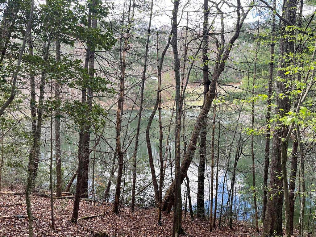 LOT 45 HIDDEN LAKE DRIVE, CHERRY LOG, GA 30522, photo 1 of 5