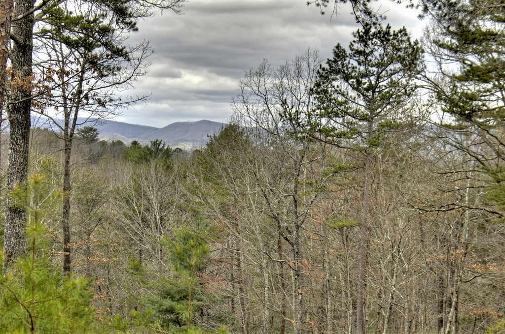 Ellijay, Georgia, 30540, United States, 5 Bedrooms Bedrooms, ,4 BathroomsBathrooms,Residential,Active,1745330