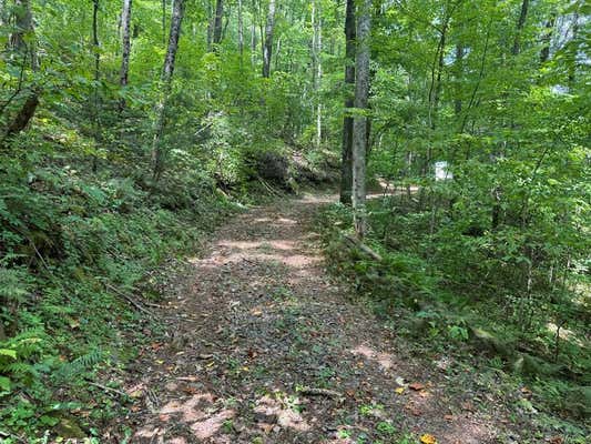 3.83ACRE HEAVENS GATEWAY, SUCHES, GA 30572 - Image 1