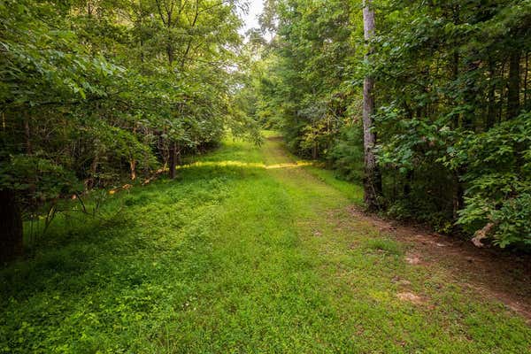 0 JANUARY LANE, ELLIJAY, GA 30540, photo 4 of 16